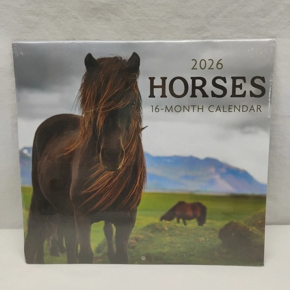 2026 HORSES 16 MONTH WALL ‎ CALENDAR 11
